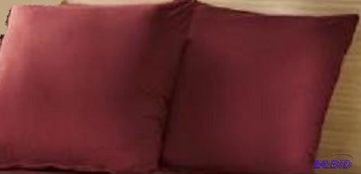 Two Red Pillows - Pillows are 19&quot square...