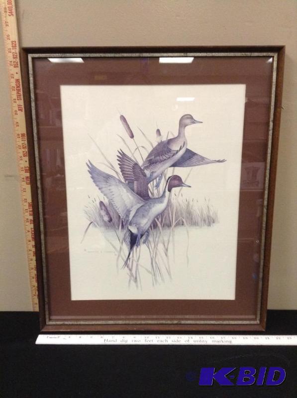 lot 71 image: Framed Charles Murphy Duck Print