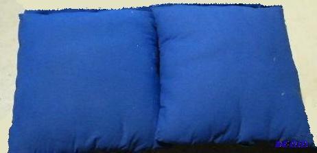 lot 15 image: Two Blue Pillows - Pillows are 19" squar...