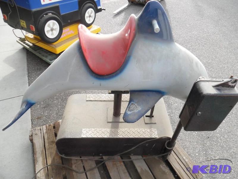 Dolphin ride
