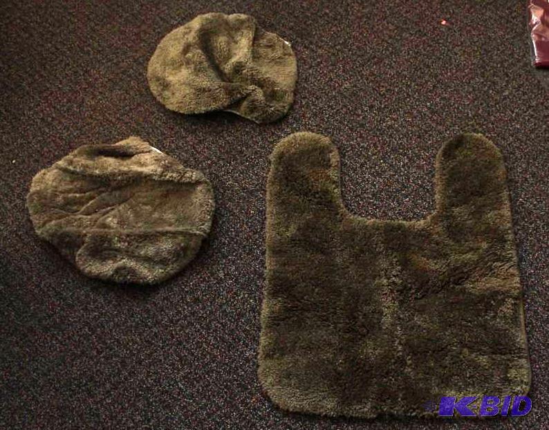 Plush Toilet Rug and seat covers