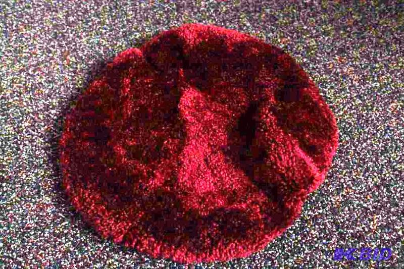 Toilet Seat Cover