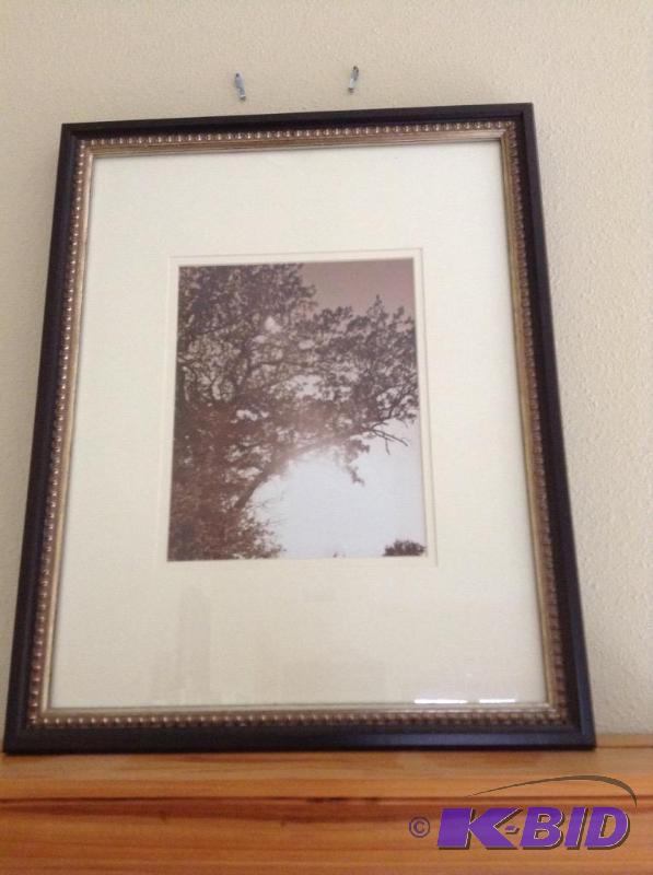 lot 33 image: Framed & Matted Tree Photograph