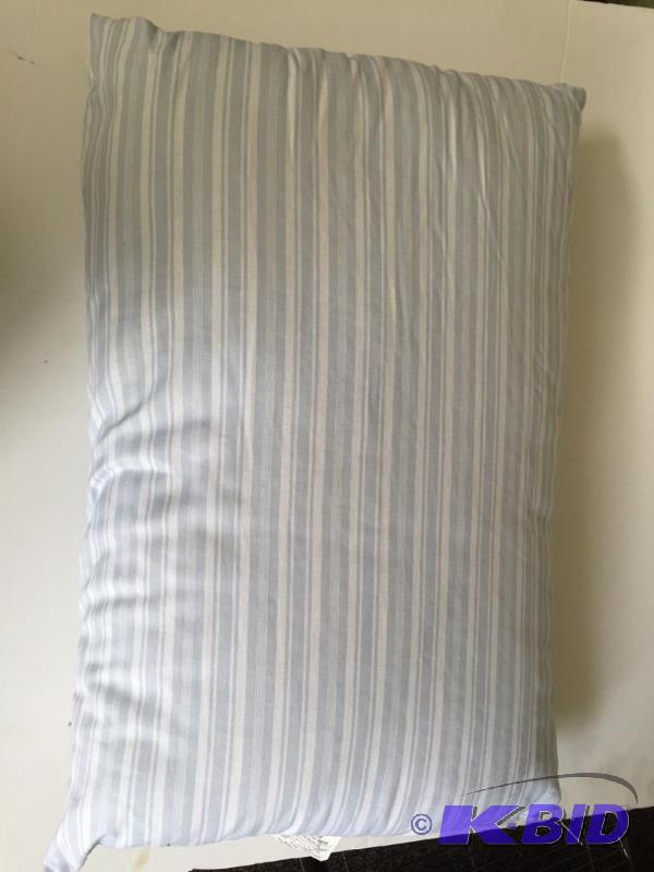 JCPenney home collection pillow