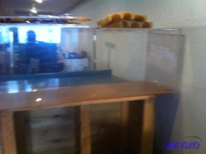 glass aquarium shell