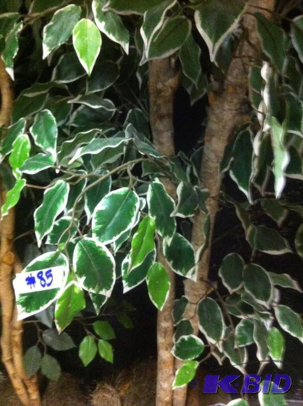 fake tree