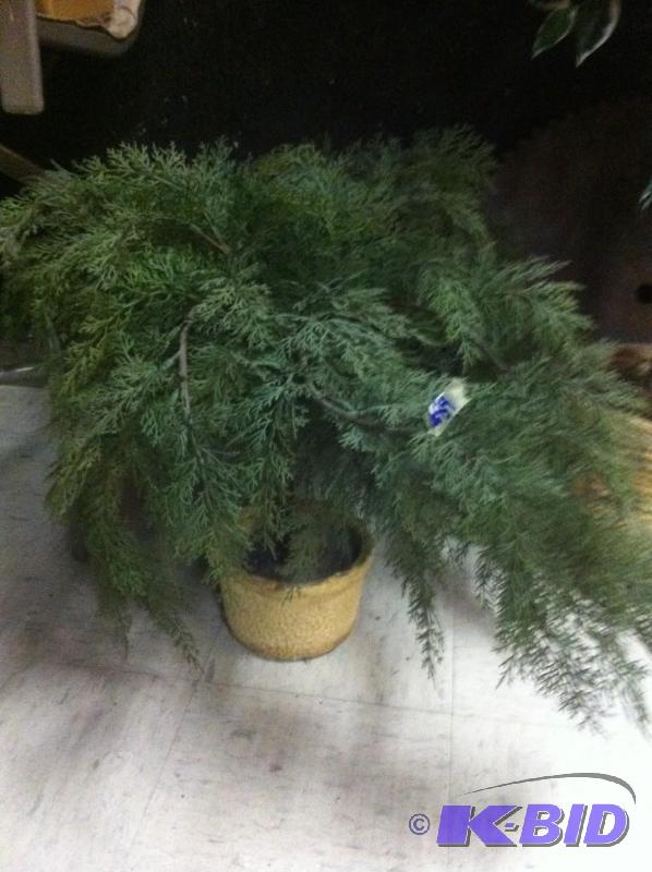 fake plant