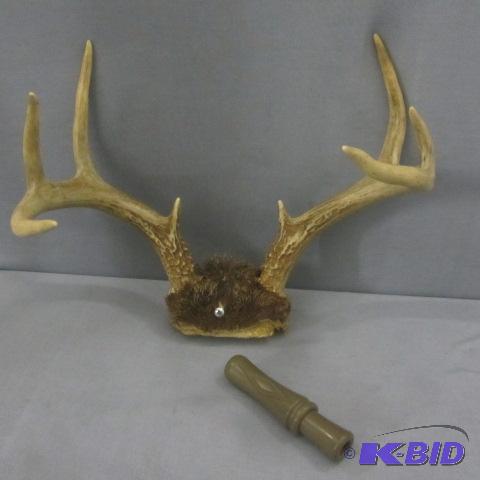 Hunting, Antlers
