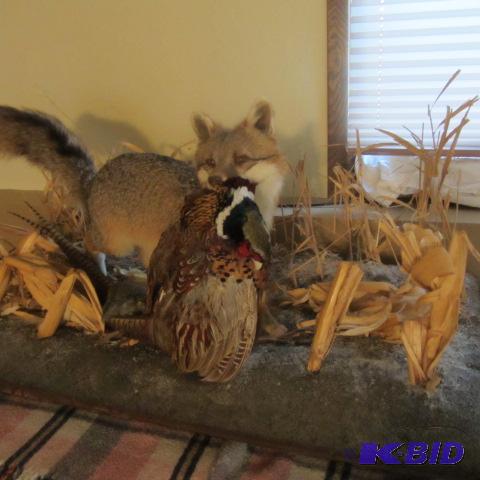 Fox & Pheasant Mount