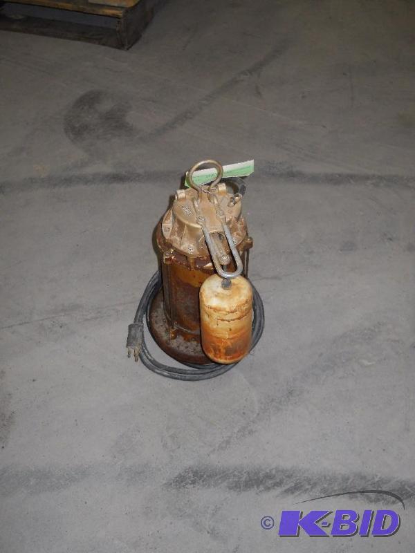 lot 107 image: Sump Pump