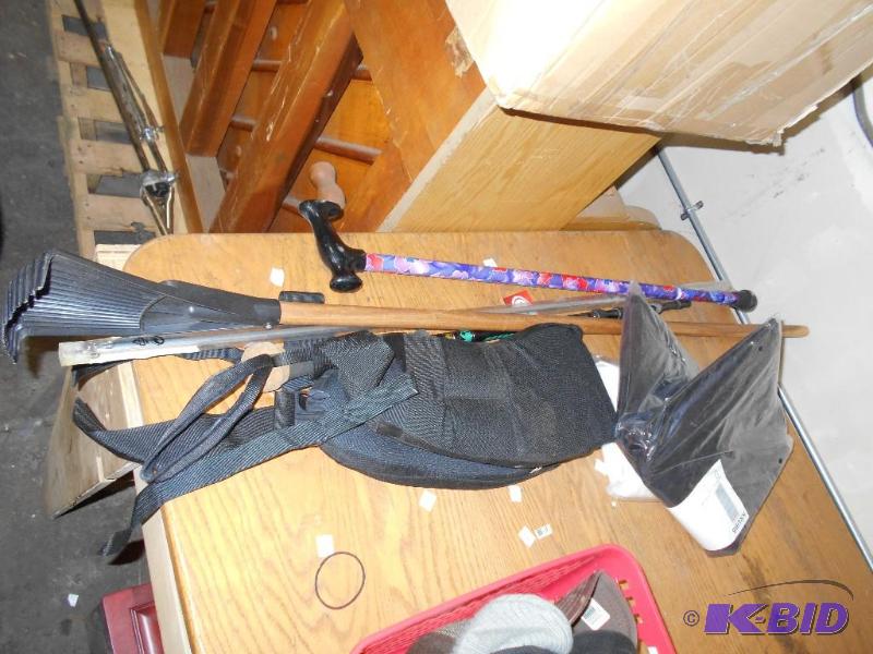 lot 50 image: Back Brace, Canes, Mini Rake Etc.