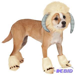 Home Furnishings