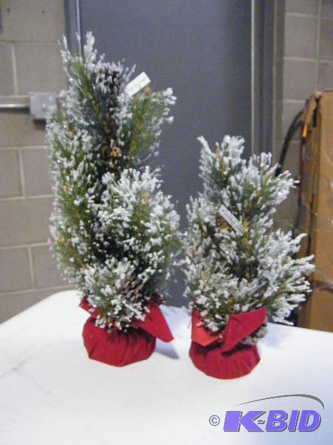 lot 114 image: Two Piece Lot  Potted Pine Arrangements - One...