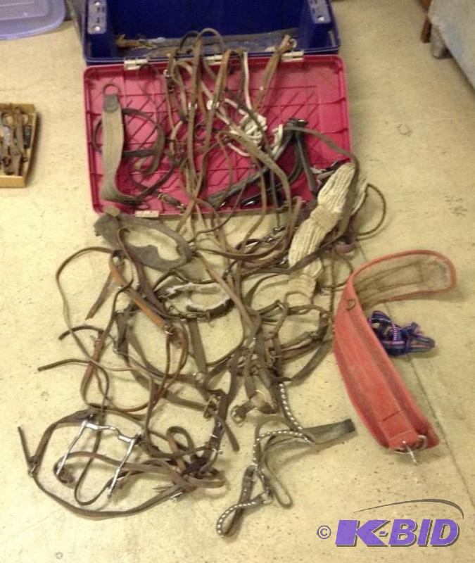 lot 5 image: Bin with Horse Tack