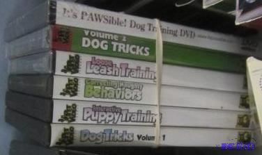 Dog Training Videos
