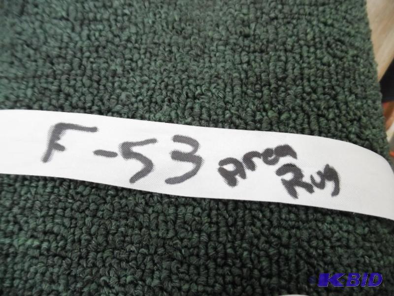 AREA RUG