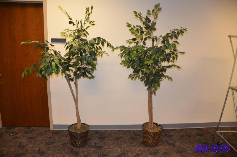 lot 209 image: 2 artificial trees 72" tall...