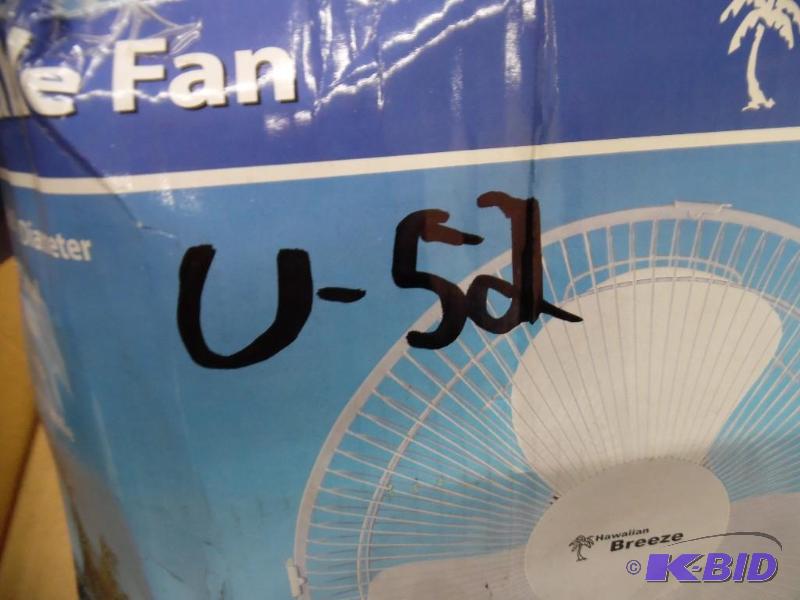 Fan