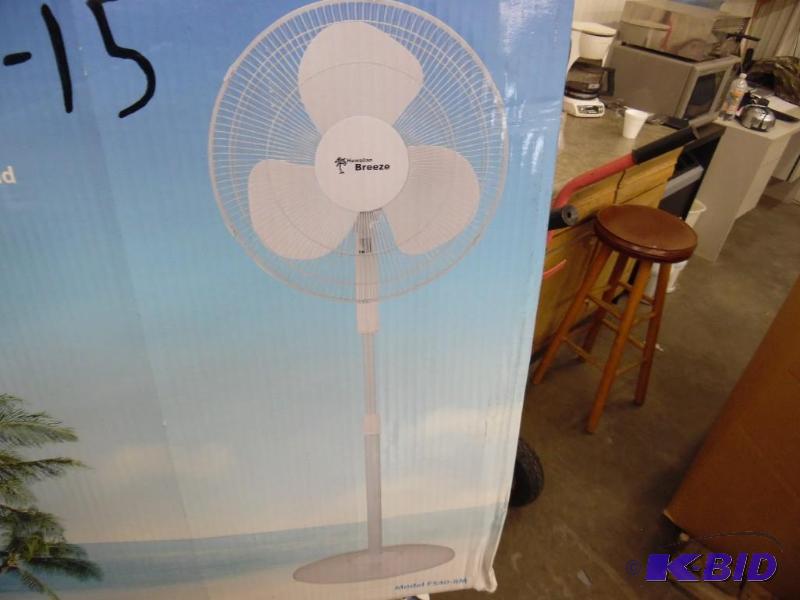Fan