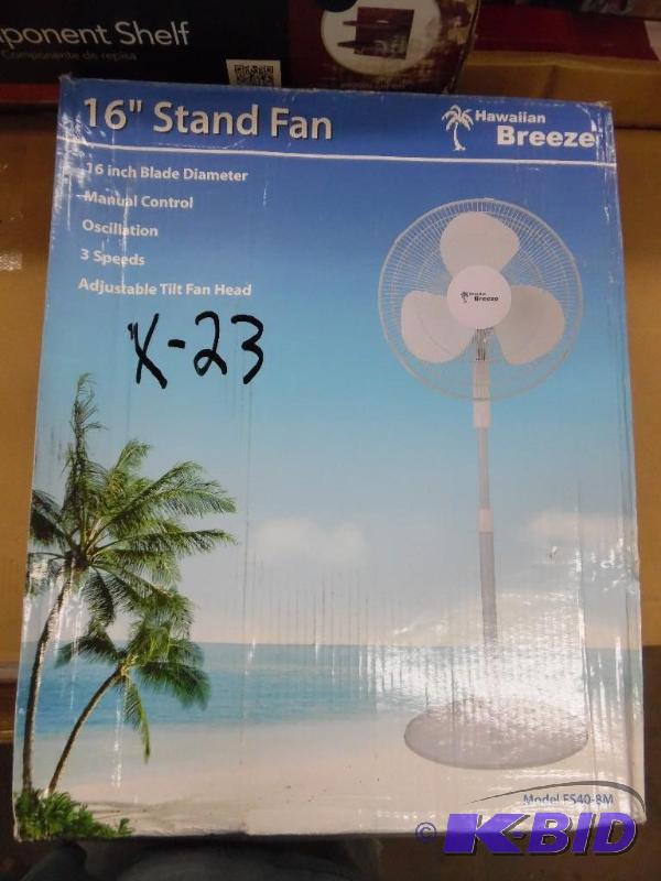 Fan