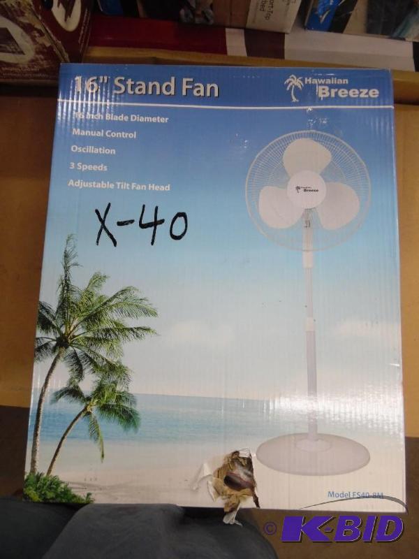 Fan