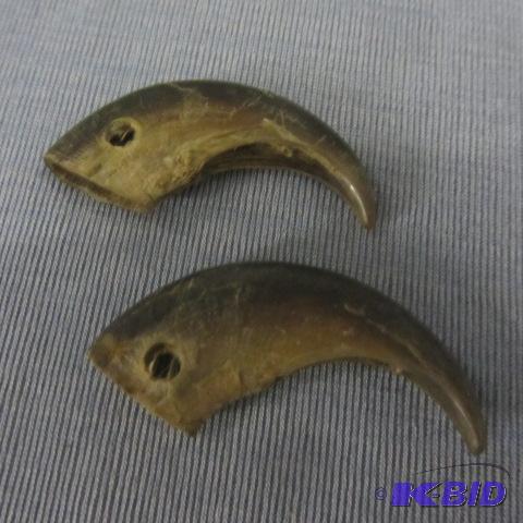 Pair Bear Claws