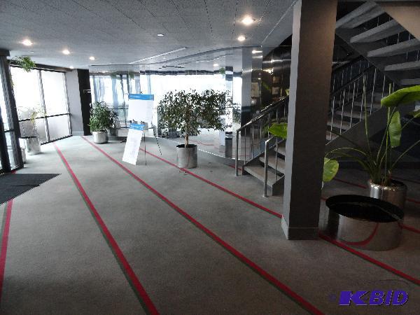 lot 131 image: Assorted Live Plants and Pots...