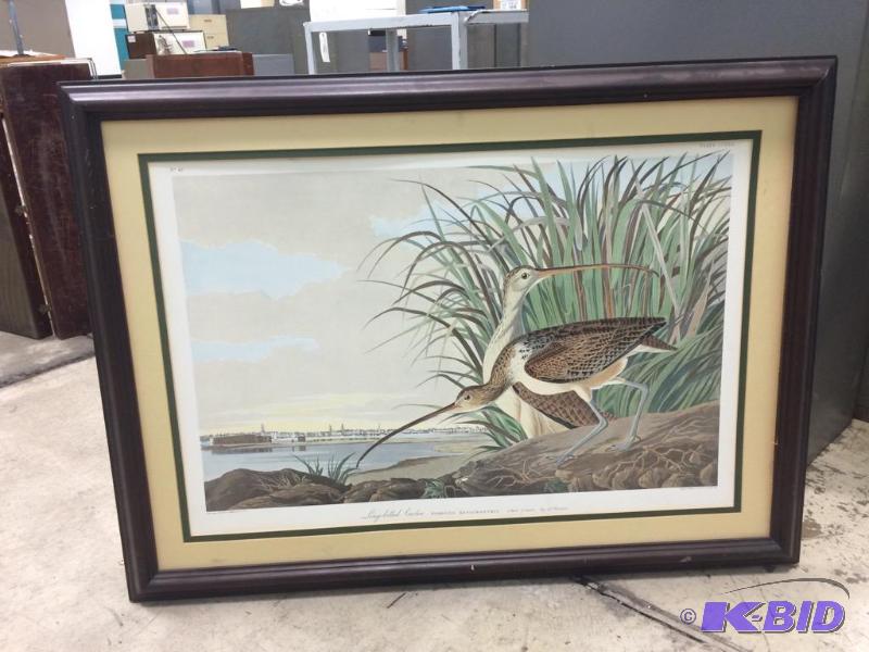 lot 800 image: Long Billed Curlew Numenius Longirostris Engr...