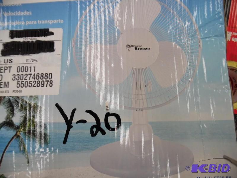 Fan