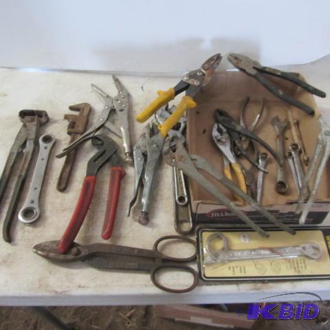 lot 193 image: Pliers, Nippers, Tin Snips