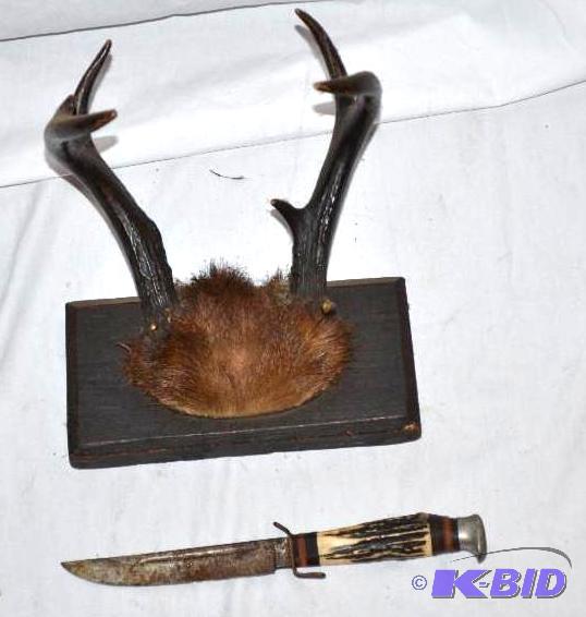 lot 52 image: Mounted deer antlers & hunting knife with...