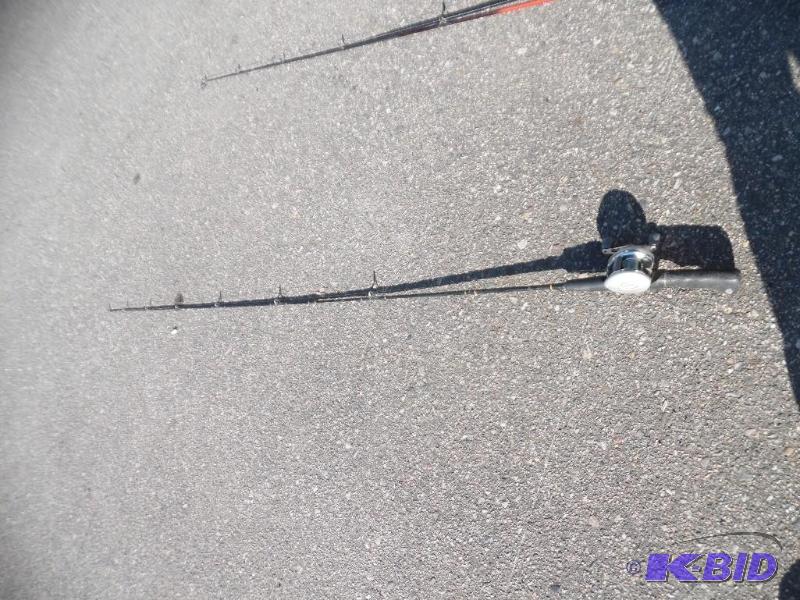 2 Fishing Poles and Reels