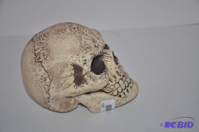 lot 232 image: Life size skull with moving jaw...