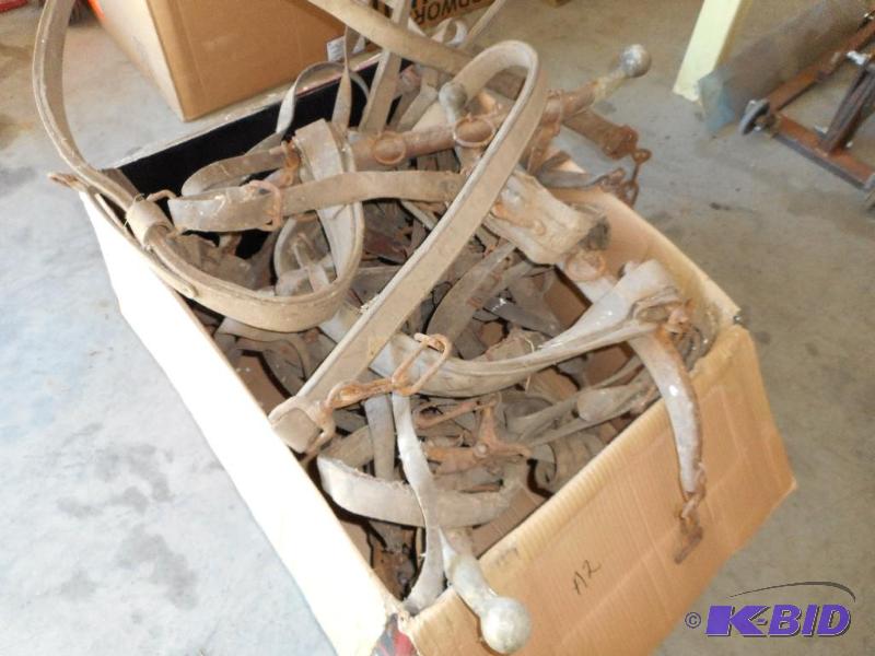 Box of Bridles