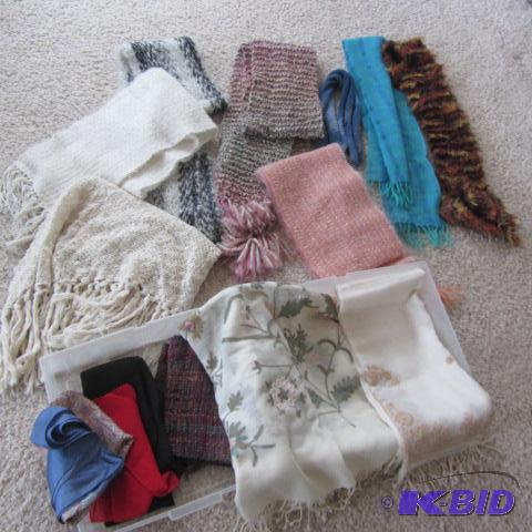 Ladies Fancy & Winter Scarves