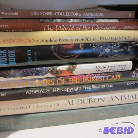 Audubon, Rock, Shore Life Books