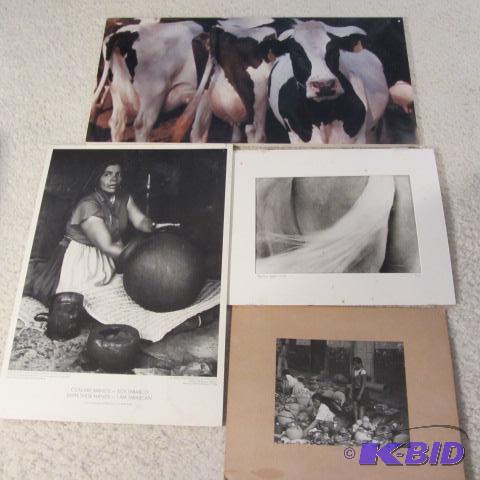 Mexican Potters, Horses, Holstein