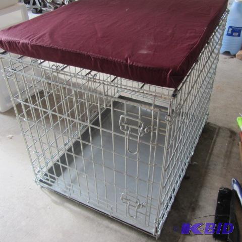 Wire Kennel