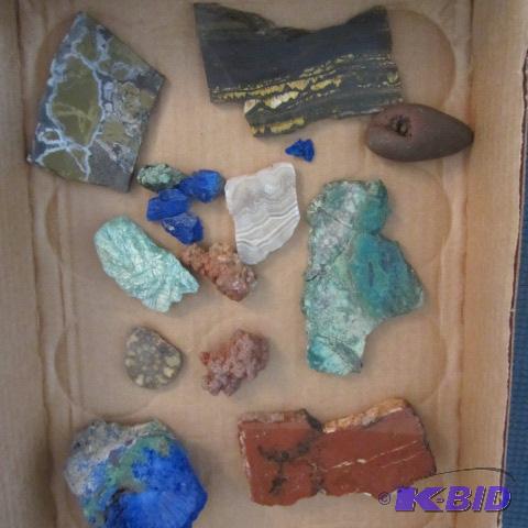 Mineral Slabs & Ammonite
