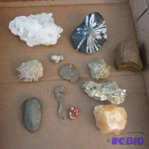 Minerals, Quartz, Seahorse