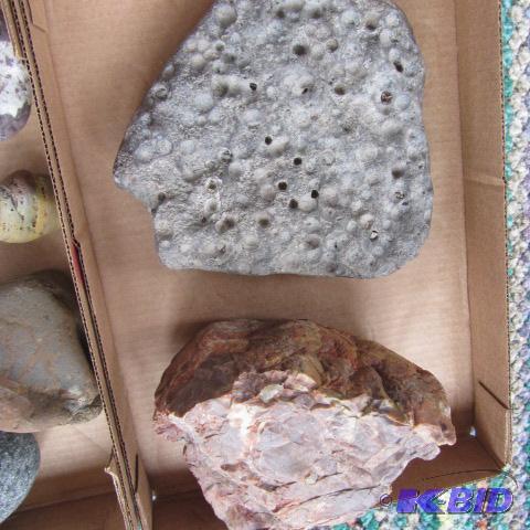 Flat of Minerals & Rocks