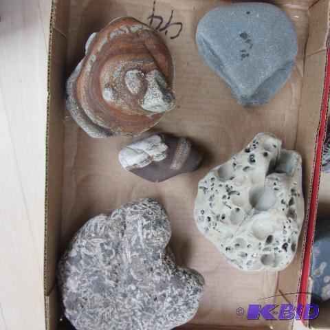 Beach & River Rocks