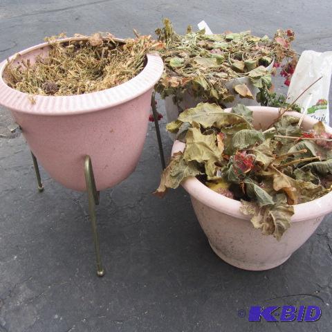 Red Wing Planter, Pos