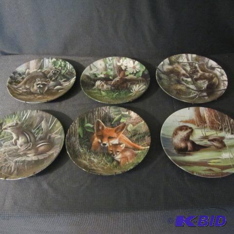 Friends of the Forest Plates