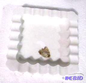 lot 24 image: Fenton White Glass Ash Tray...