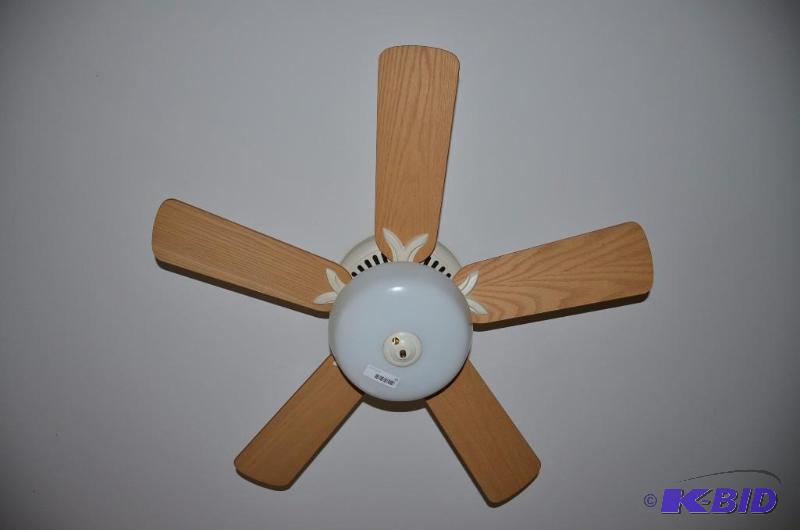 lot 10 image: Ceiling fan 44"...