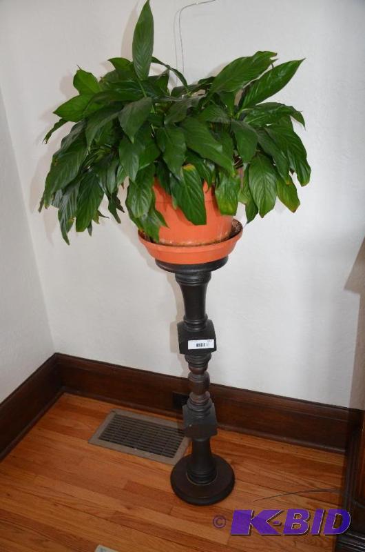 Wood plant stand 32&quot tall, plant is not ...