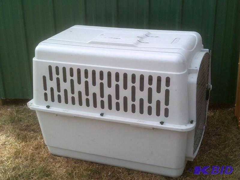 Kennel