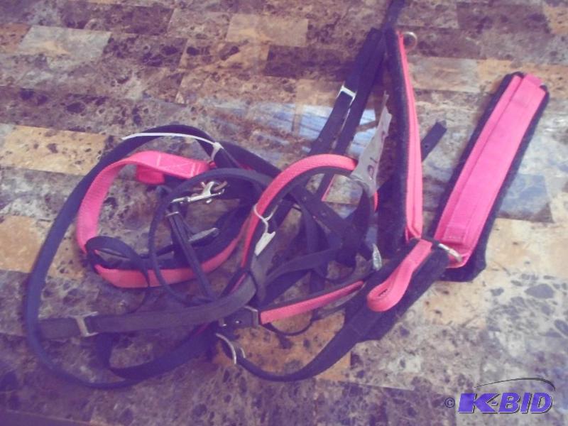 Horse Bridle