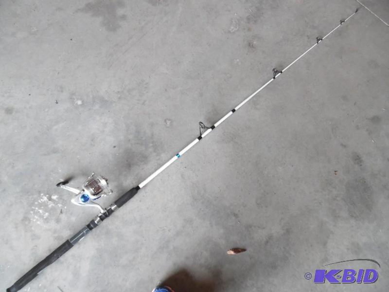 Fishing rod and reel